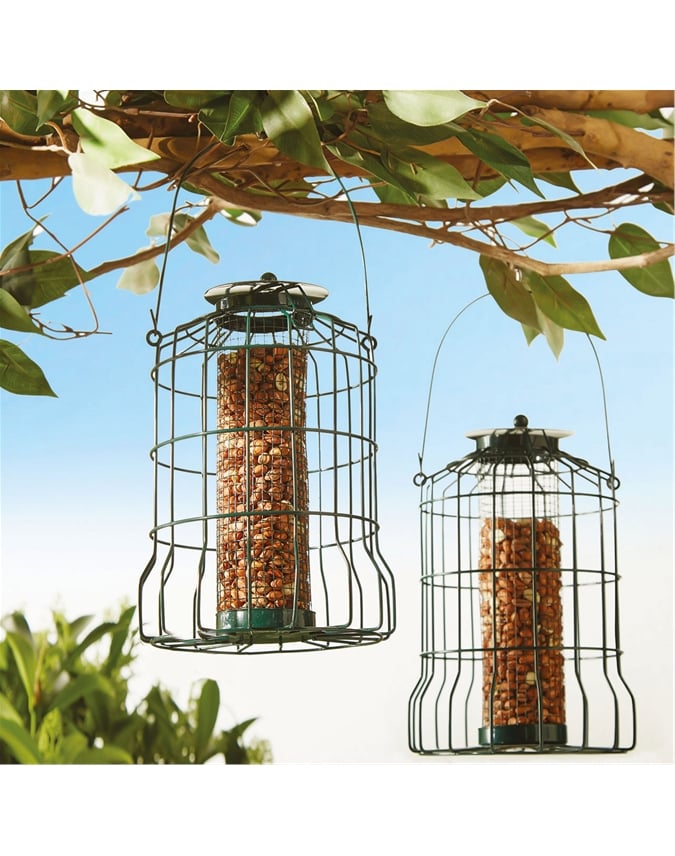 Squirrel Proof Bird Feeder Pack Of 2 Expert Verdict