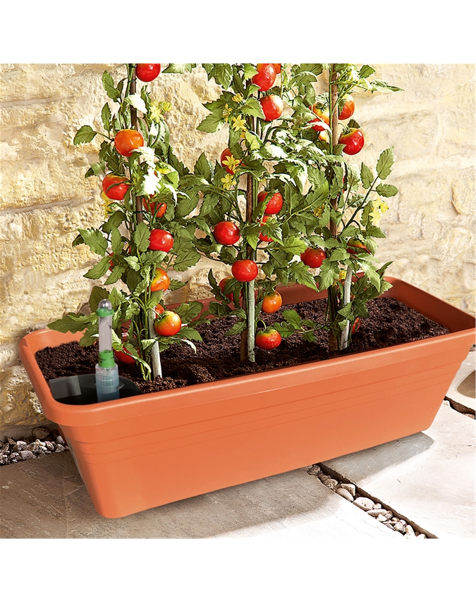 Self-Watering Planter
