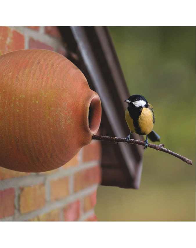 Terracotta Bird Pot Expert Verdict