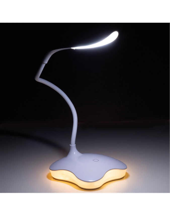 Combined Desk Lamp and Night Light