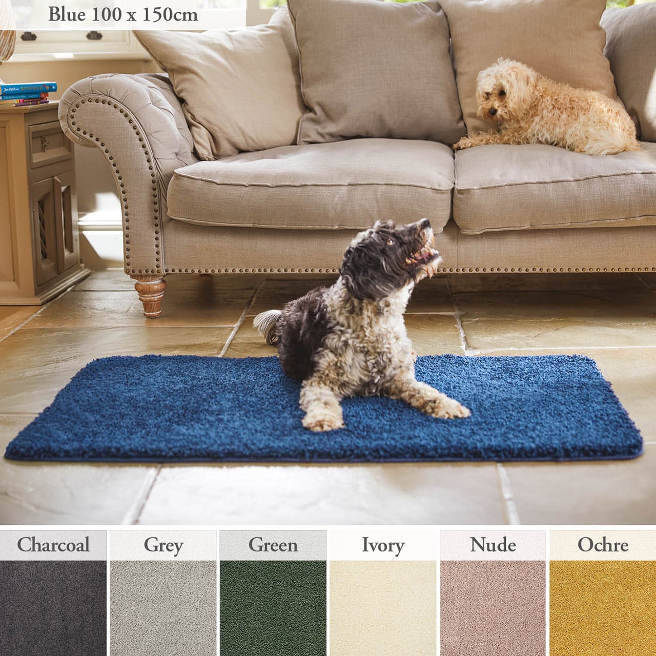 Washable Anti-spill Rug