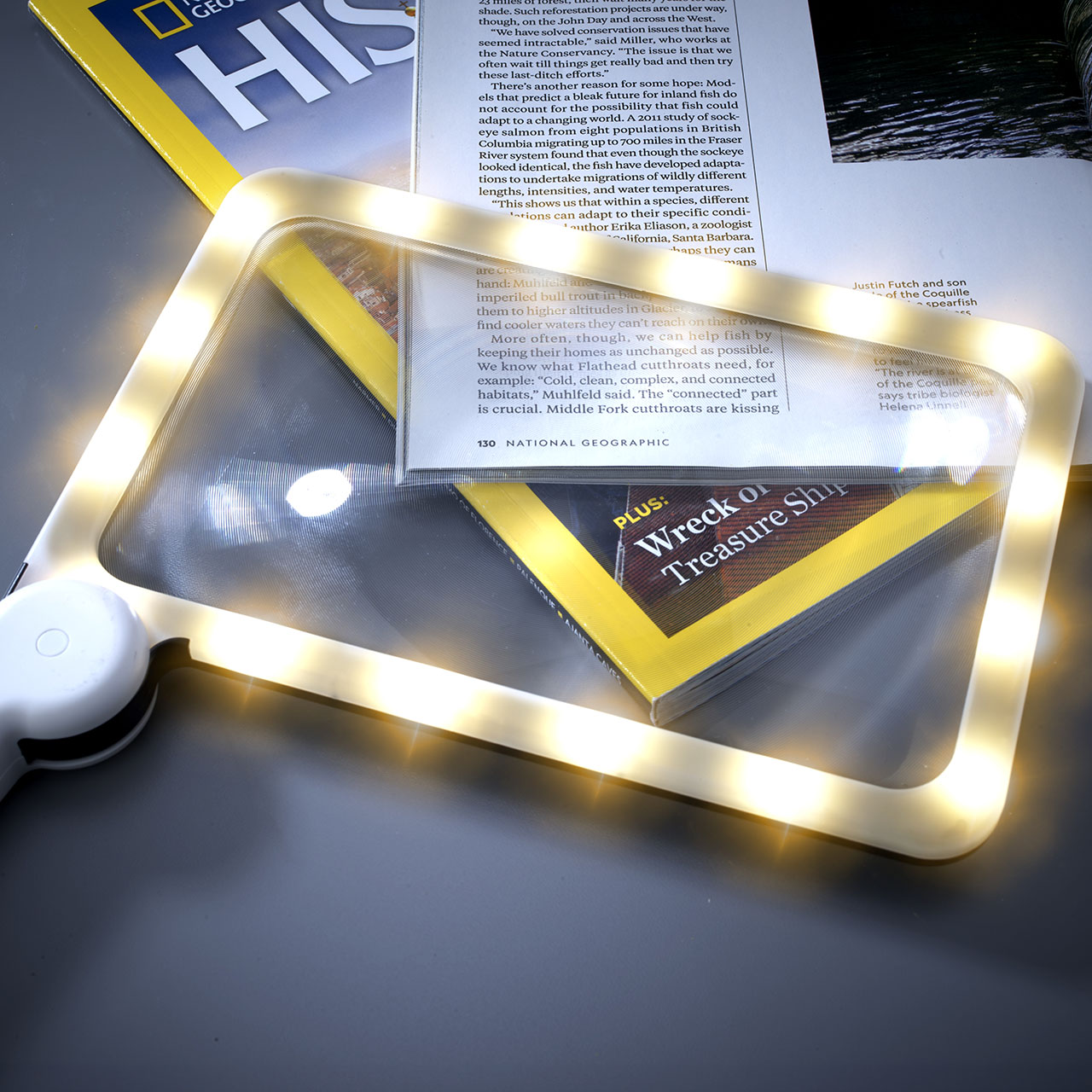 Handheld Magnifier with 48 LEDs