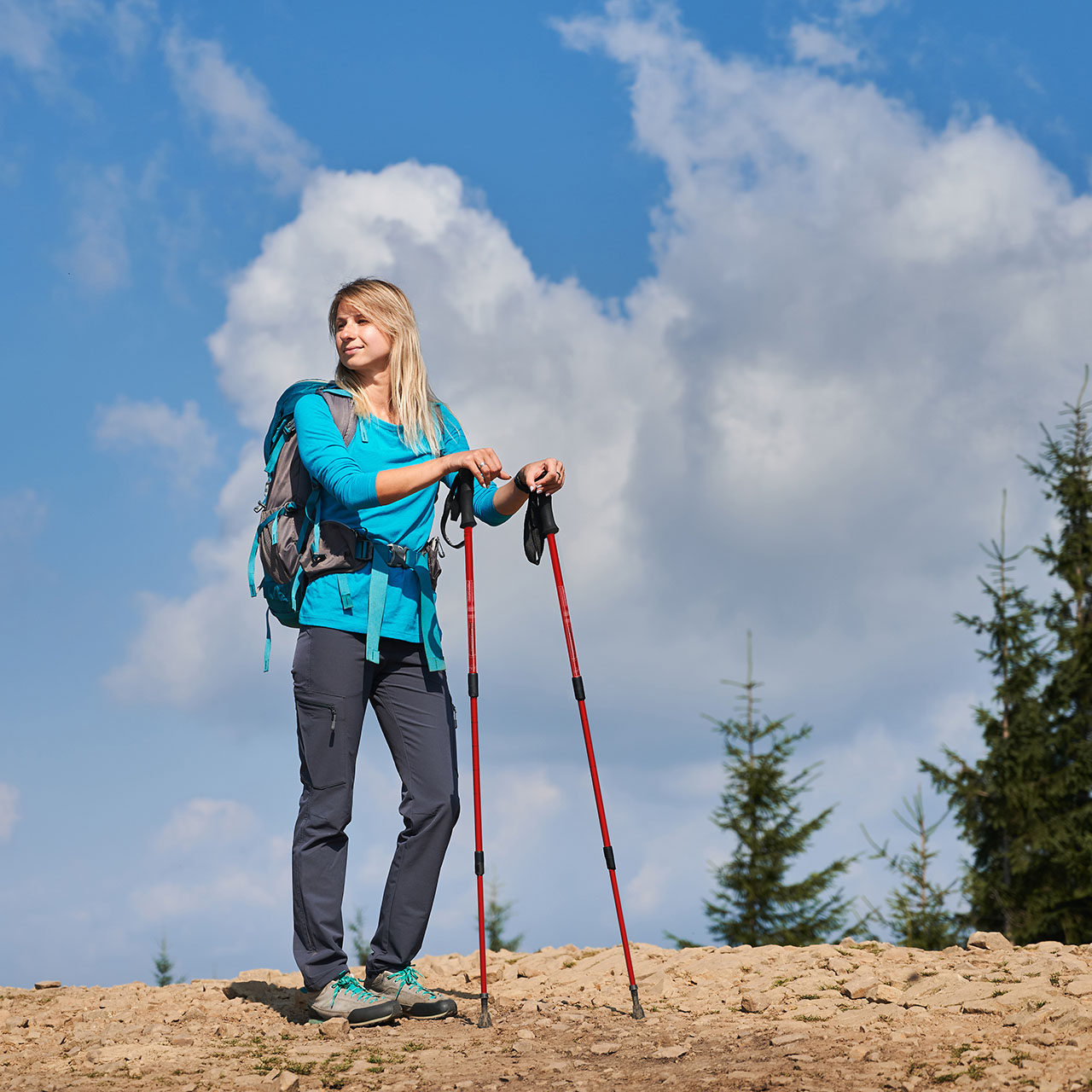 Telescopic Trekking Pole