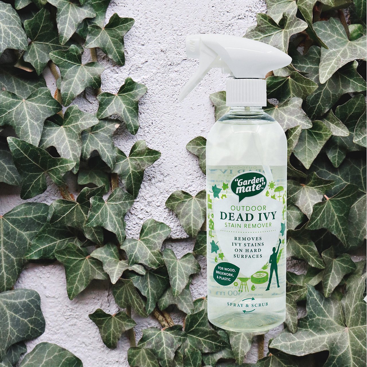 Outdoor Dead Ivy Stain Remover