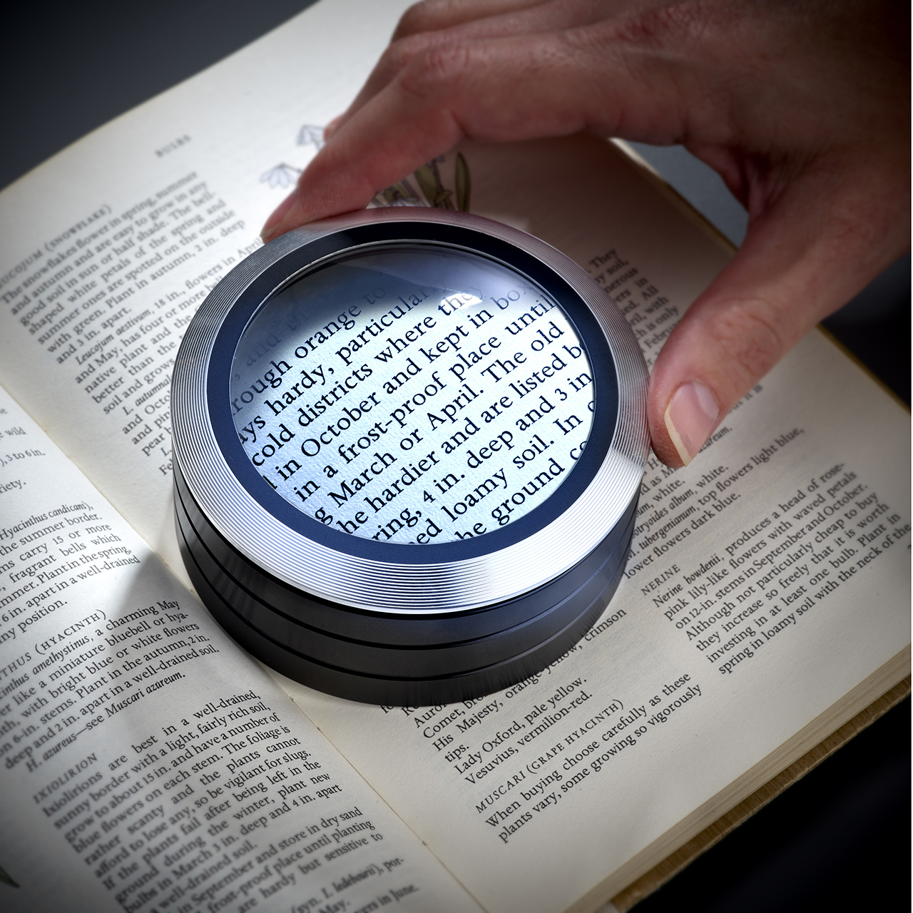 Illuminated Dome Magnifier