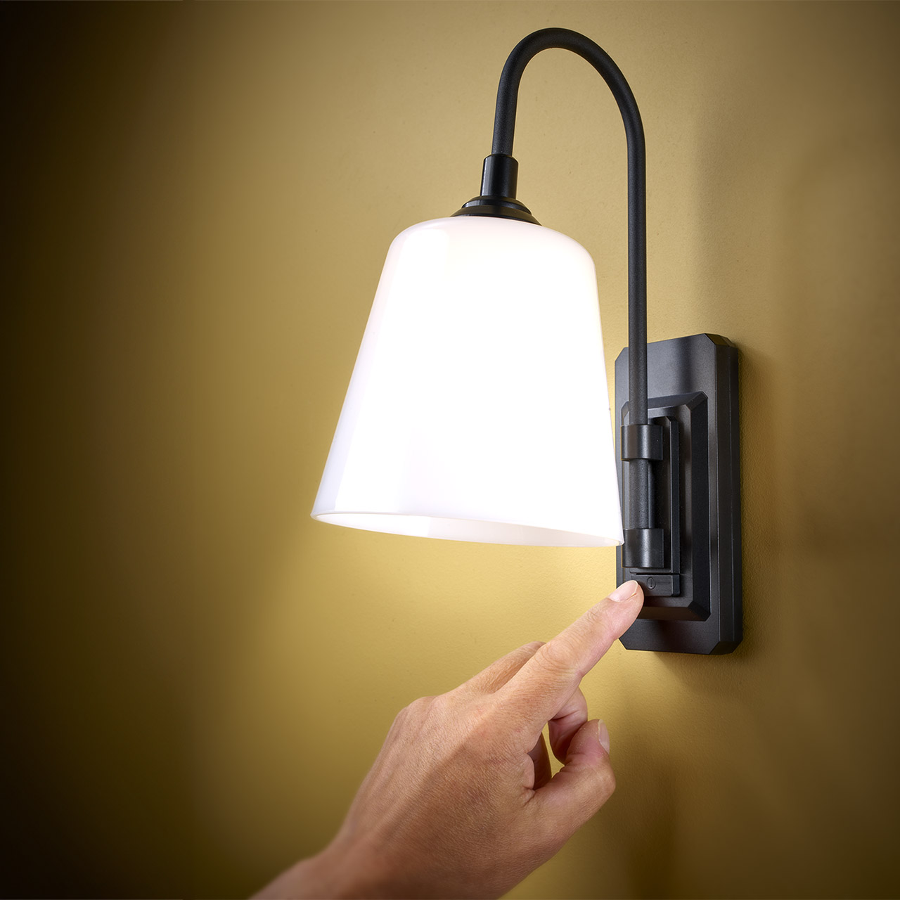 Wall Mounted Lamp