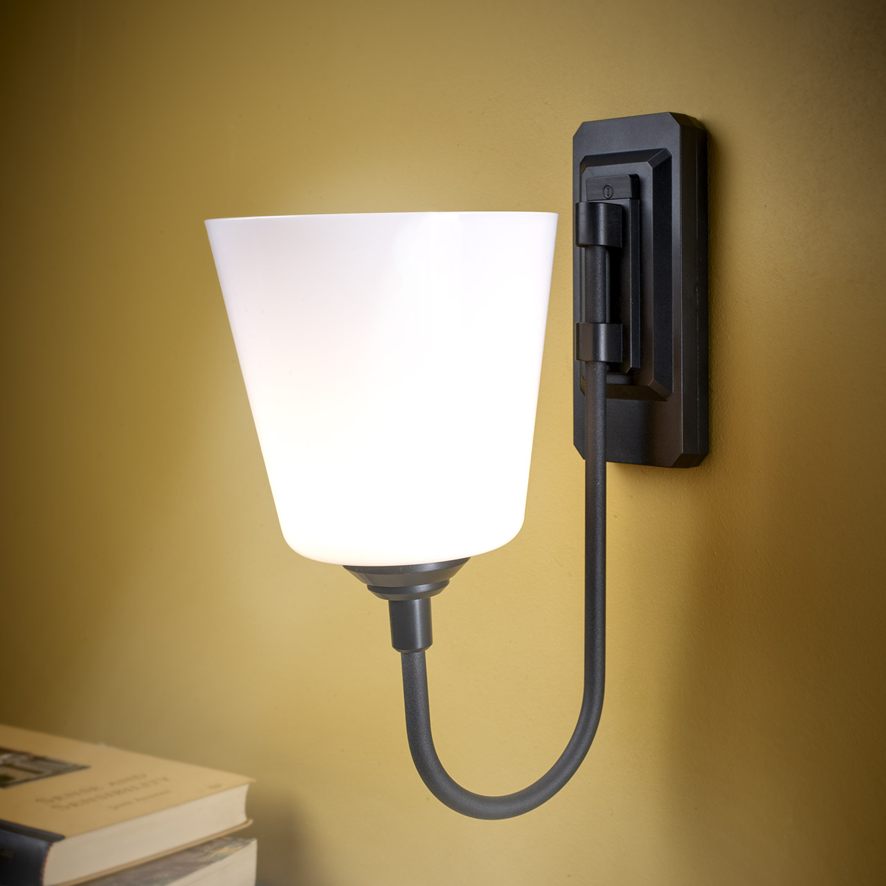 Wall Mounted Lamp