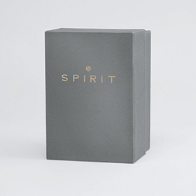 Spirit See in the dark Watch