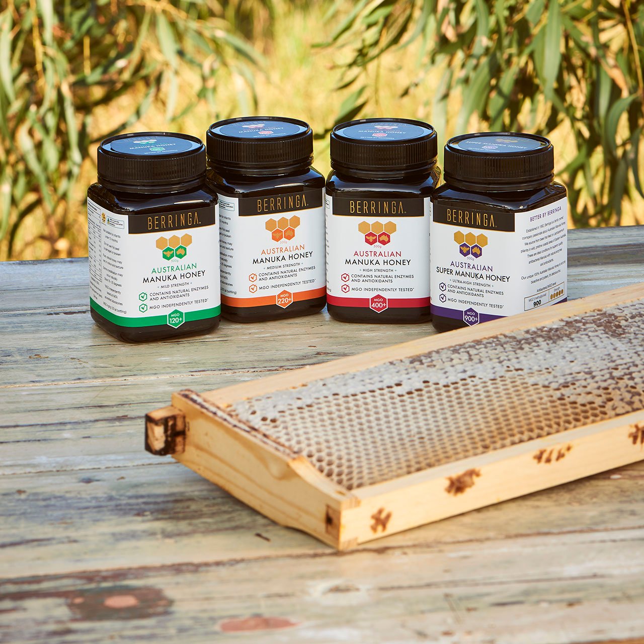 Berringa Manuka Honey