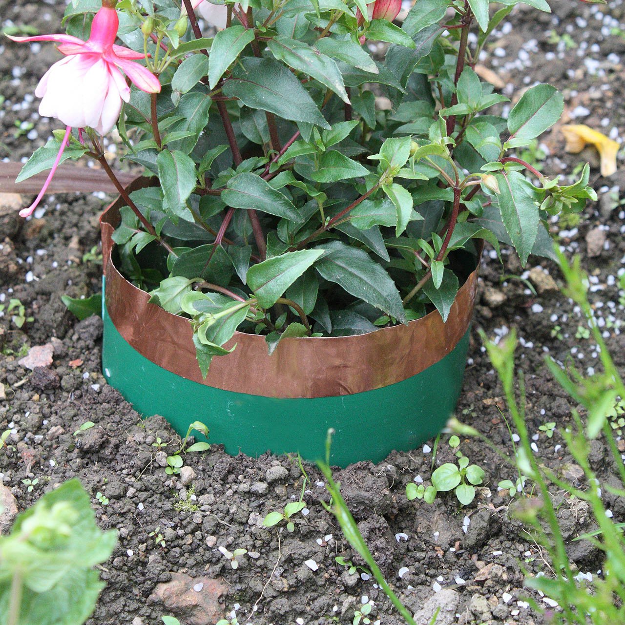 Slug & Snail Barrier Circles