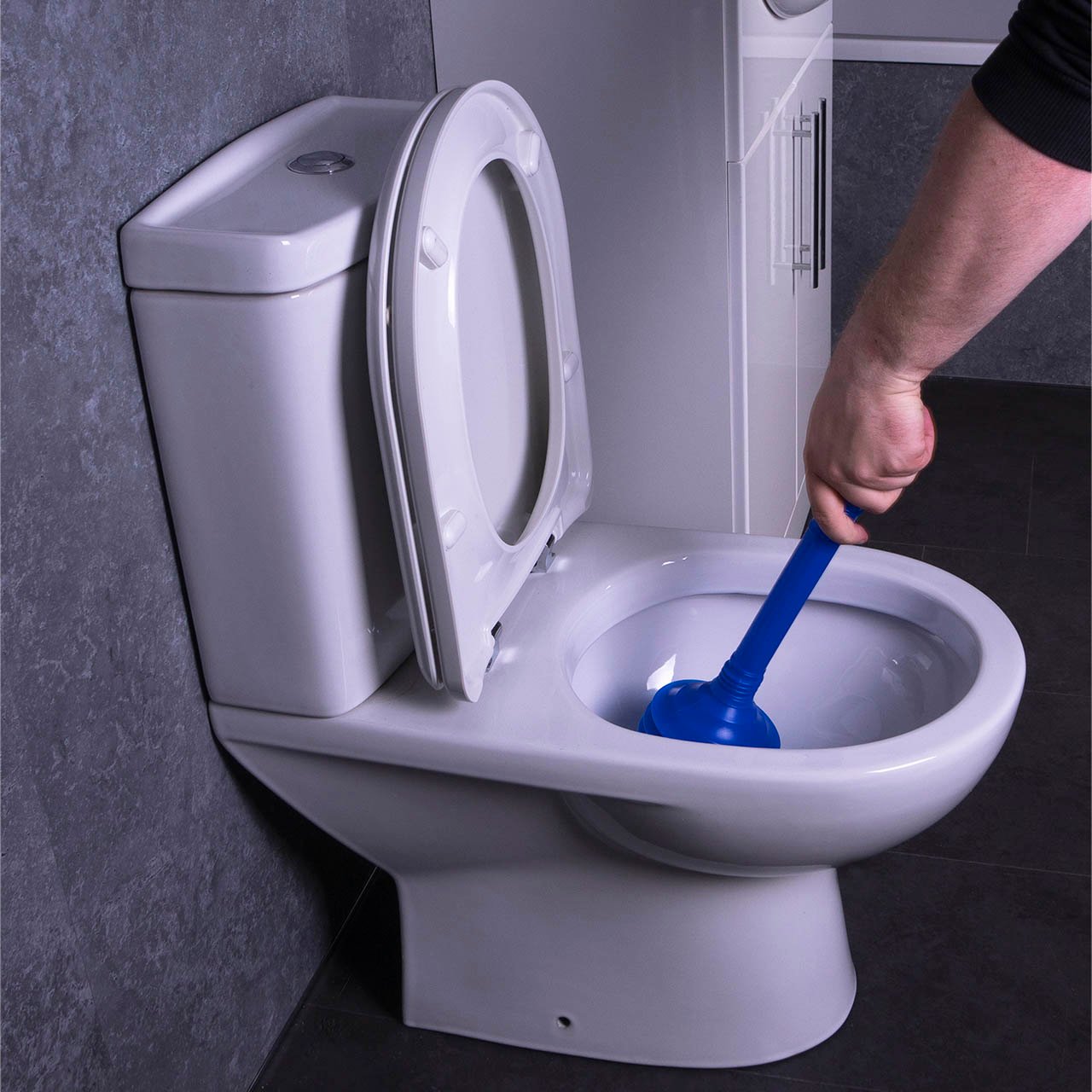 Drain and Toilet Plunger