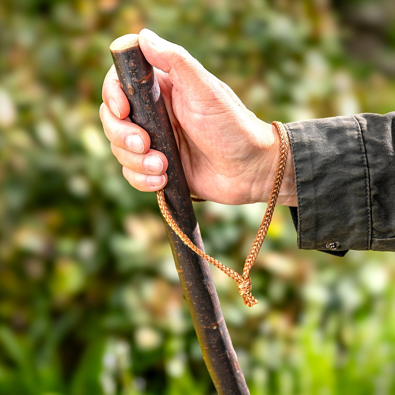 Chestnut Hiking Stave