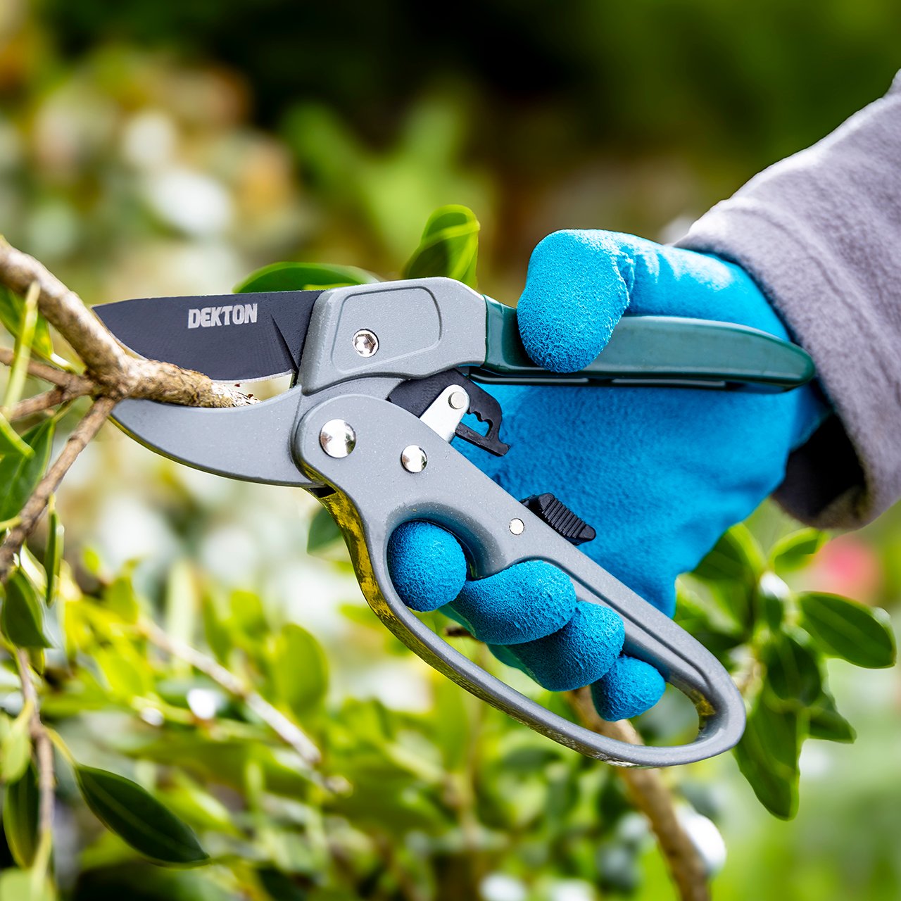 Ratchet Pruner