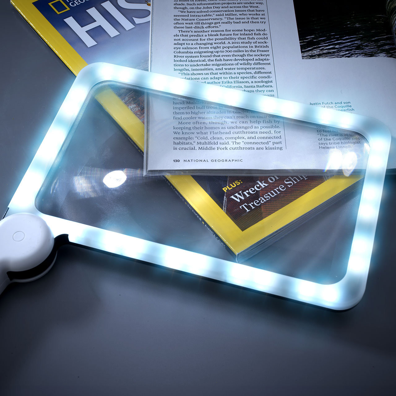 Handheld Magnifier with 48 LEDs