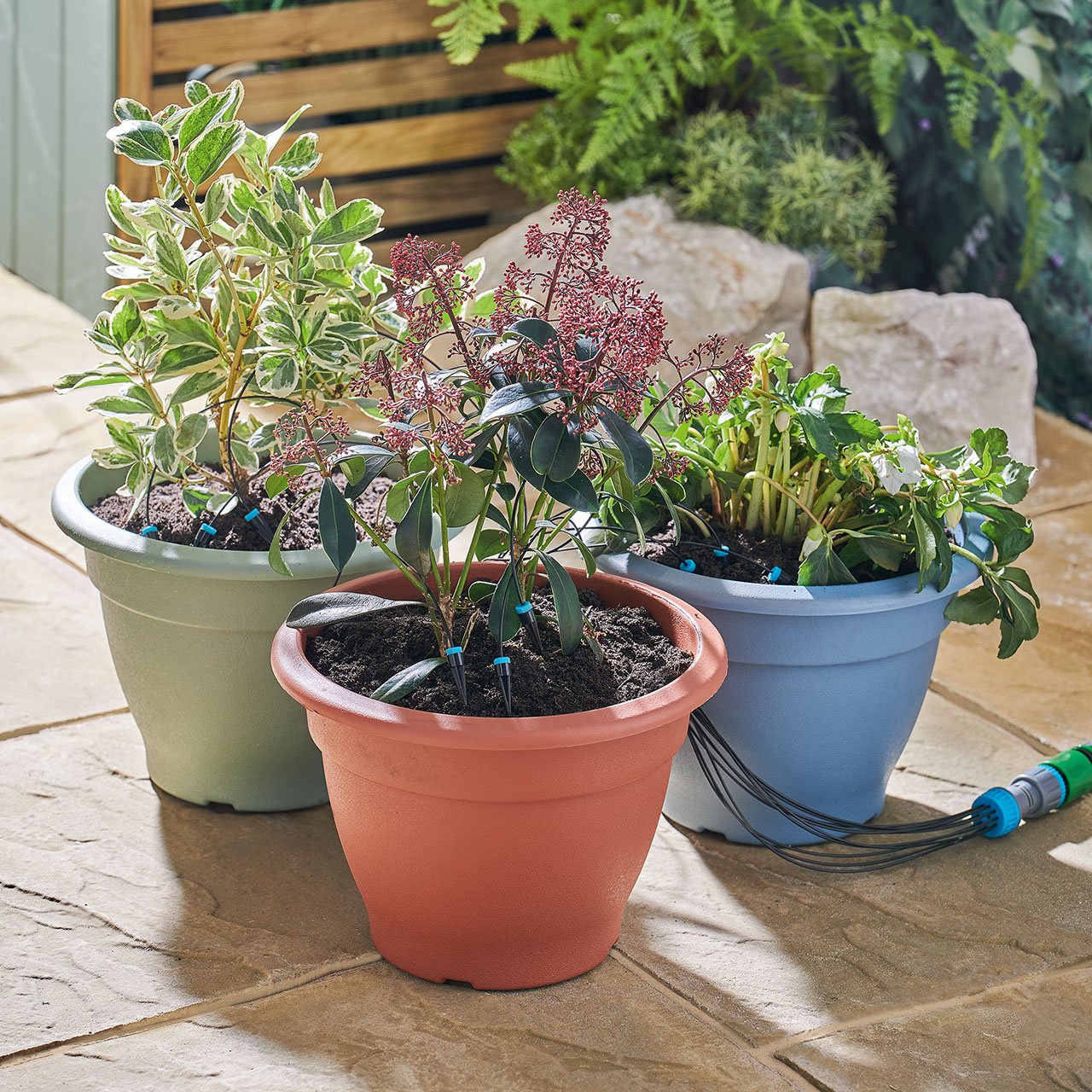 Automatic Drip System Kit, 10 Heads