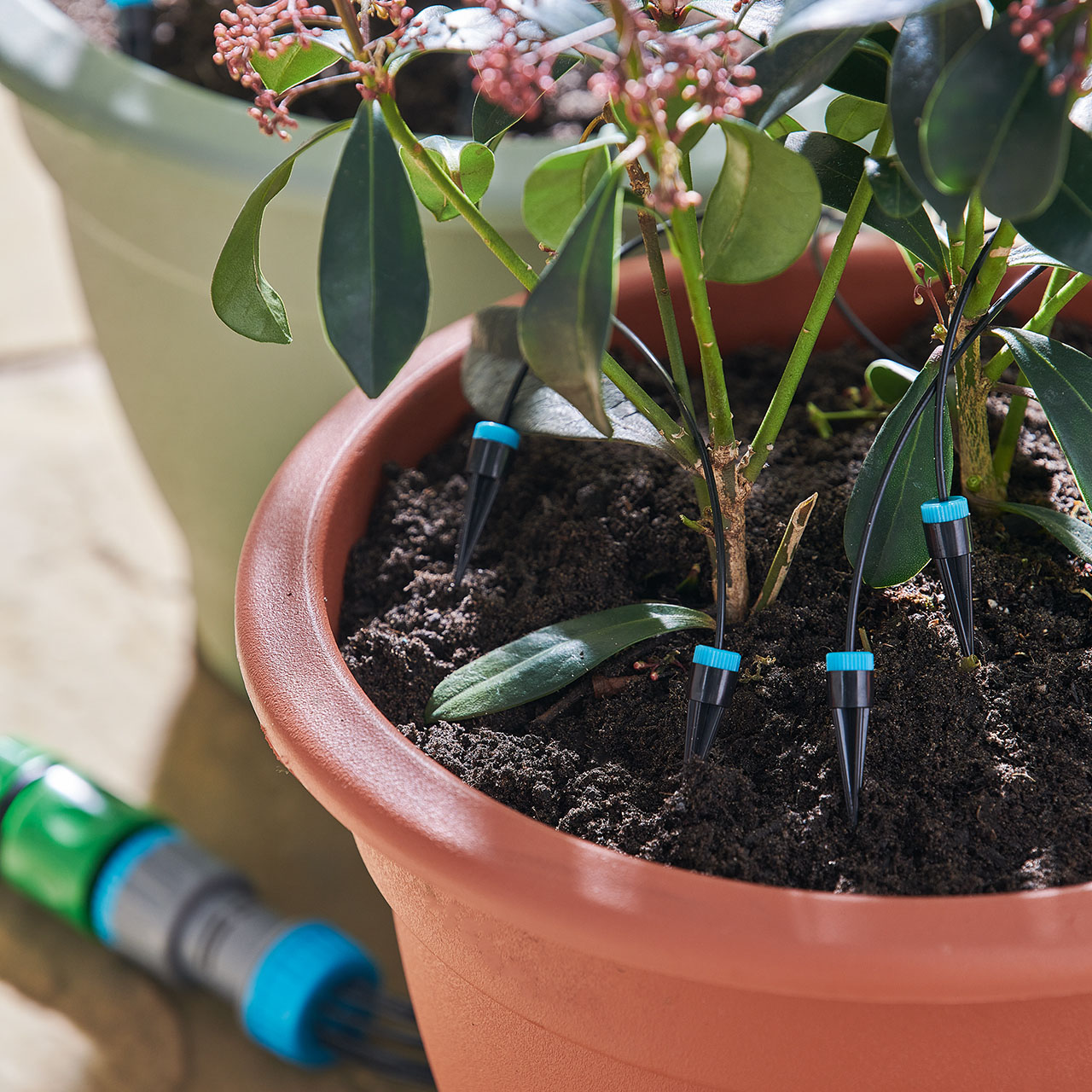 Automatic Drip System Kit, 10 Heads