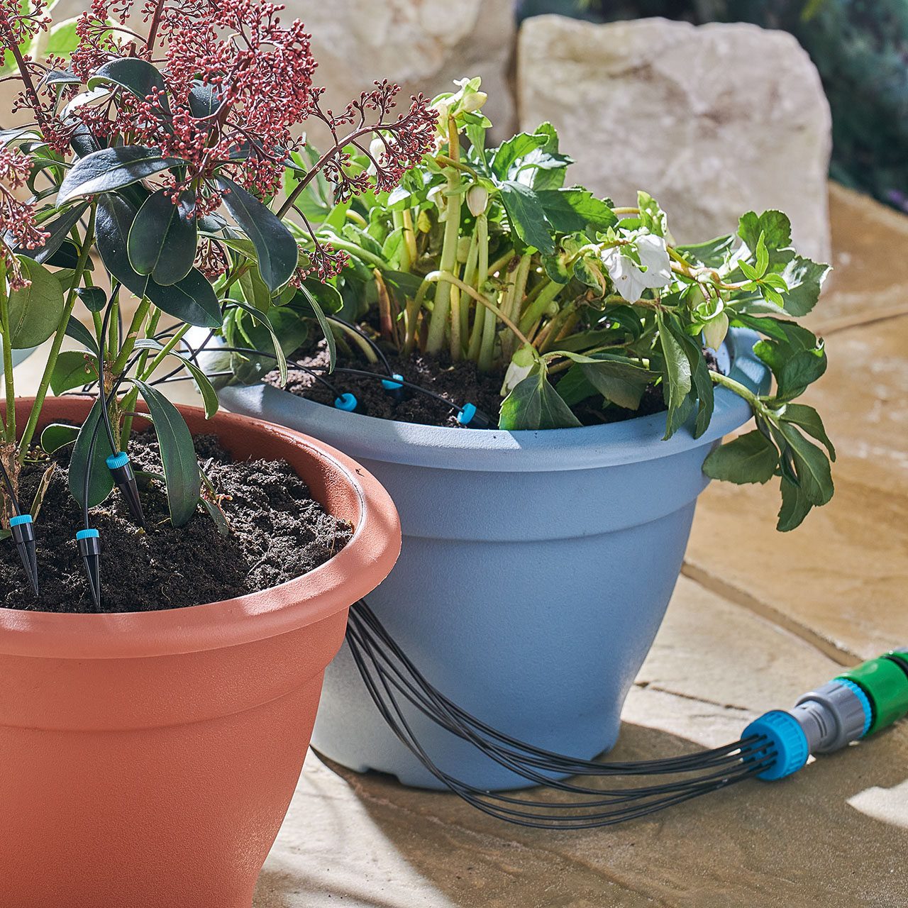 Automatic Drip System Kit, 10 Heads