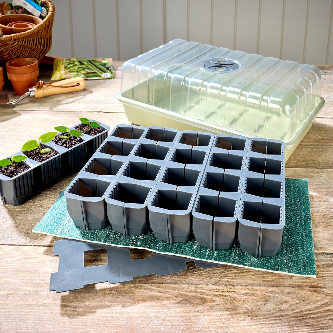 Low Maintenance Root Trainer Kit