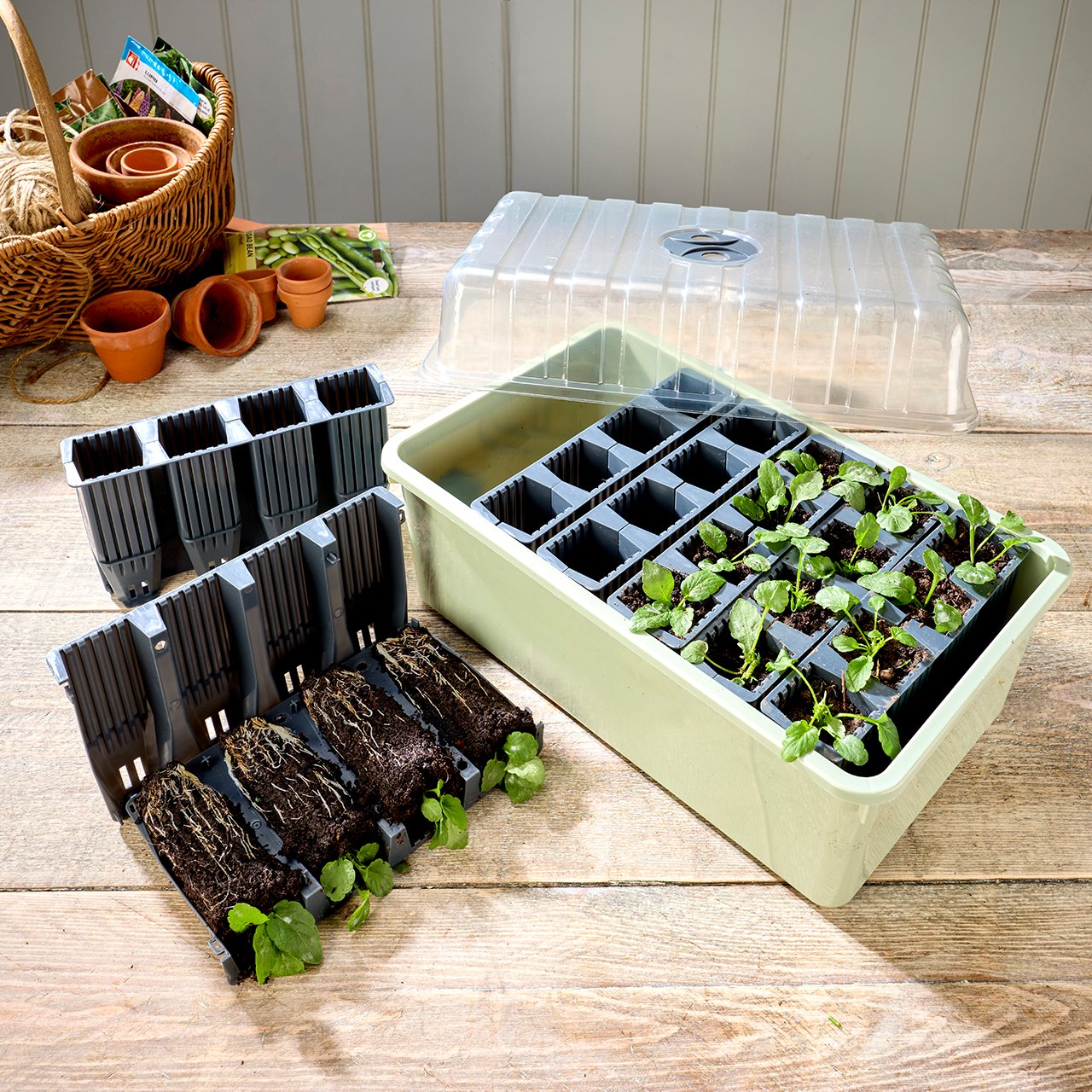 Deep Root Trainer Kit