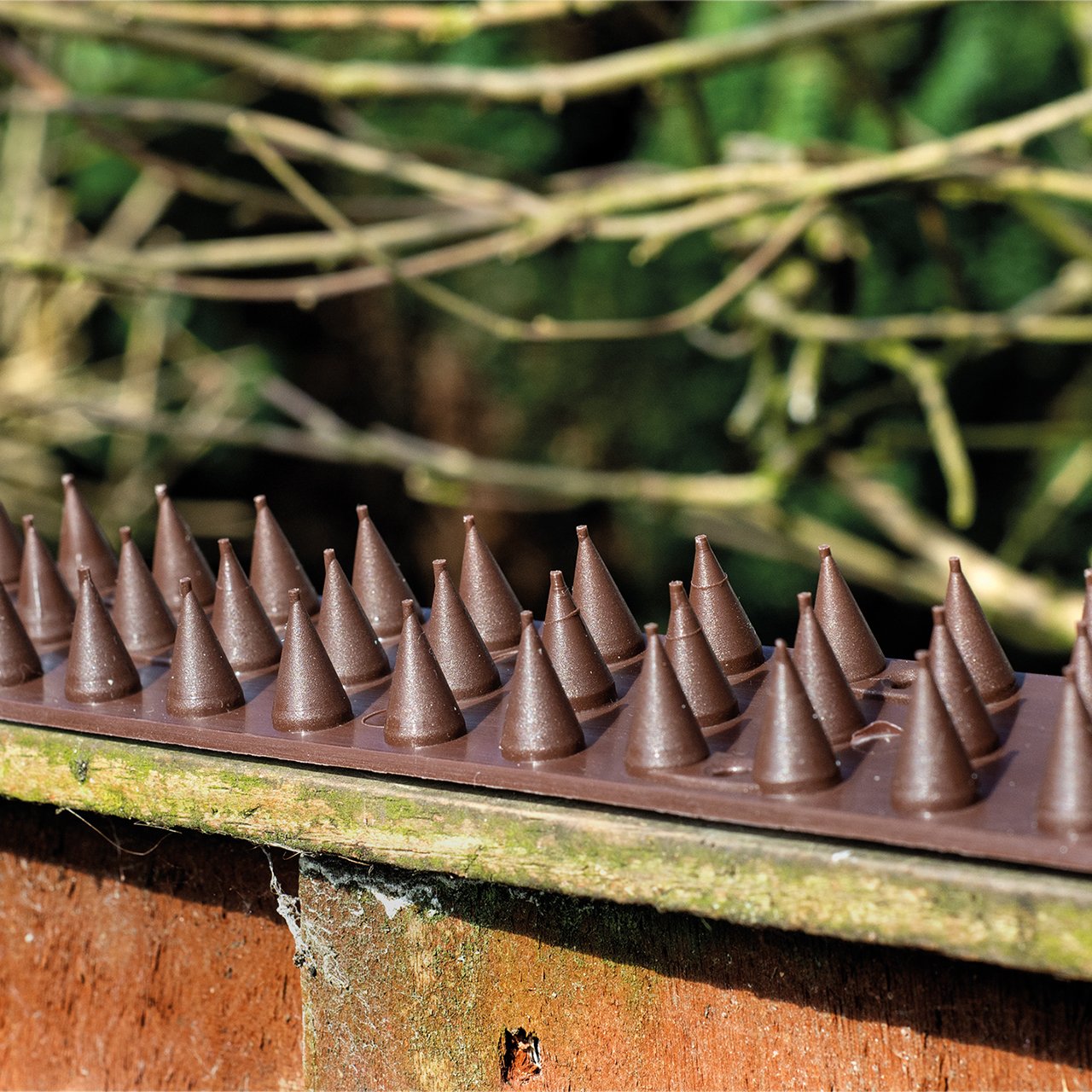 Wall and Fence Deterrent Spikes