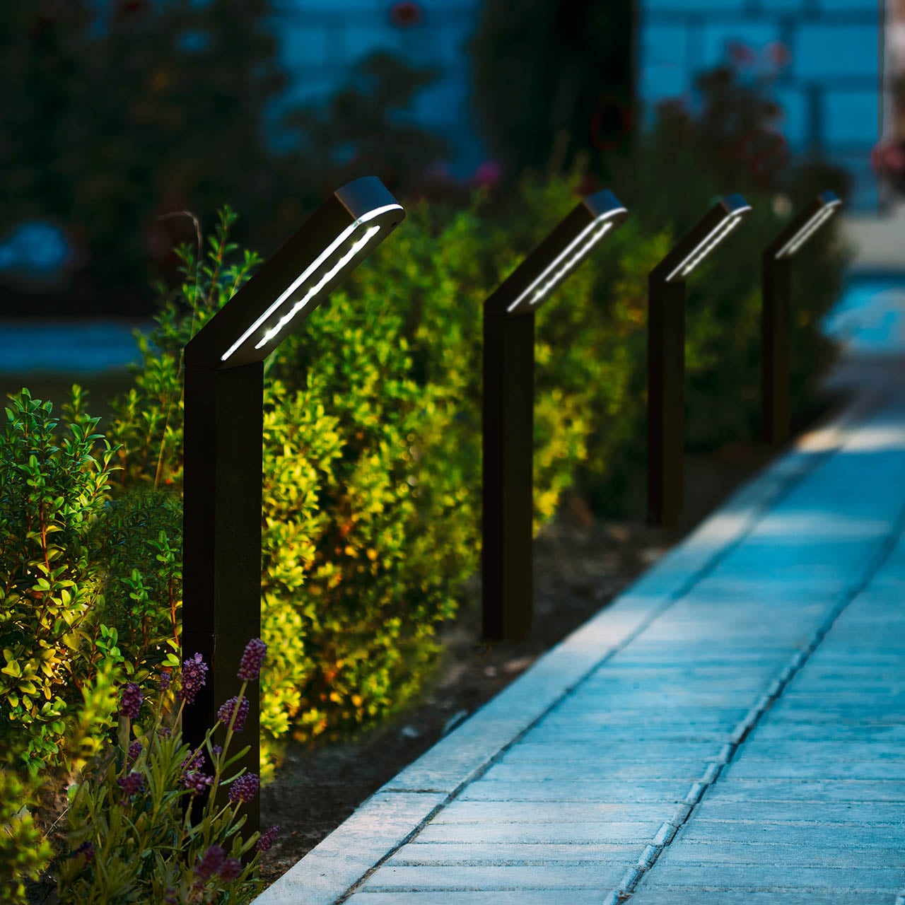 Set of 3 Solar Stake Lights