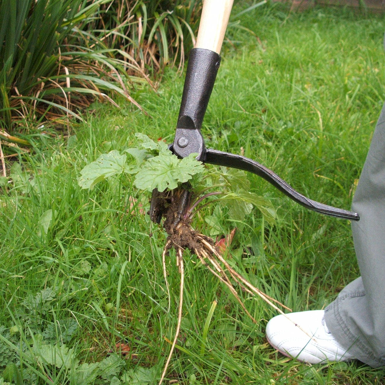 Weeding Tool