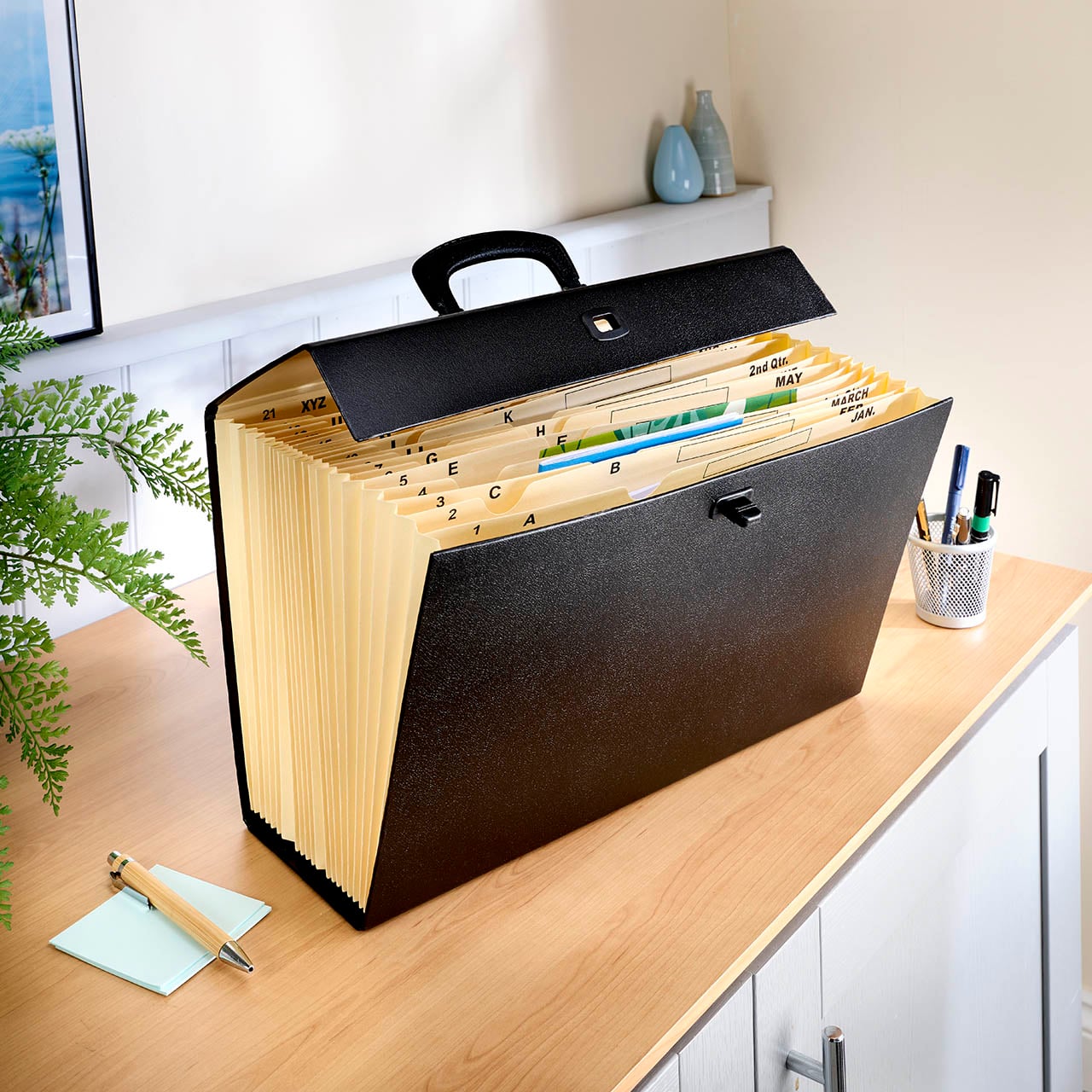 Expanding File Case
