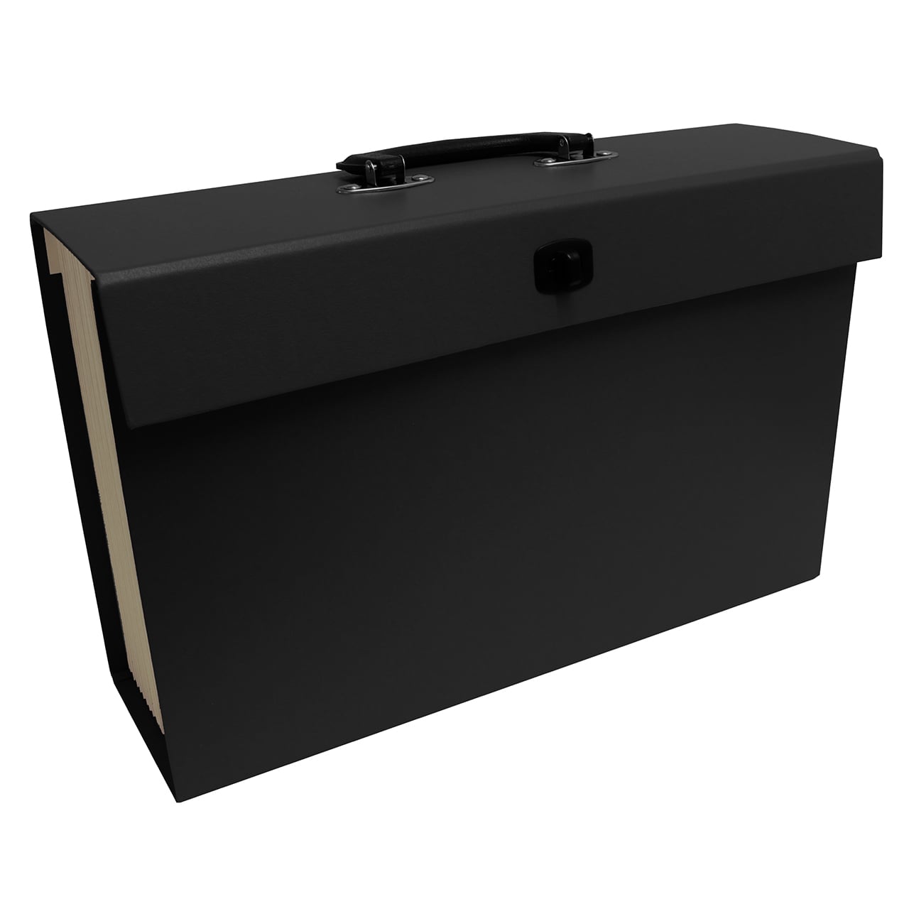 Expanding File Case