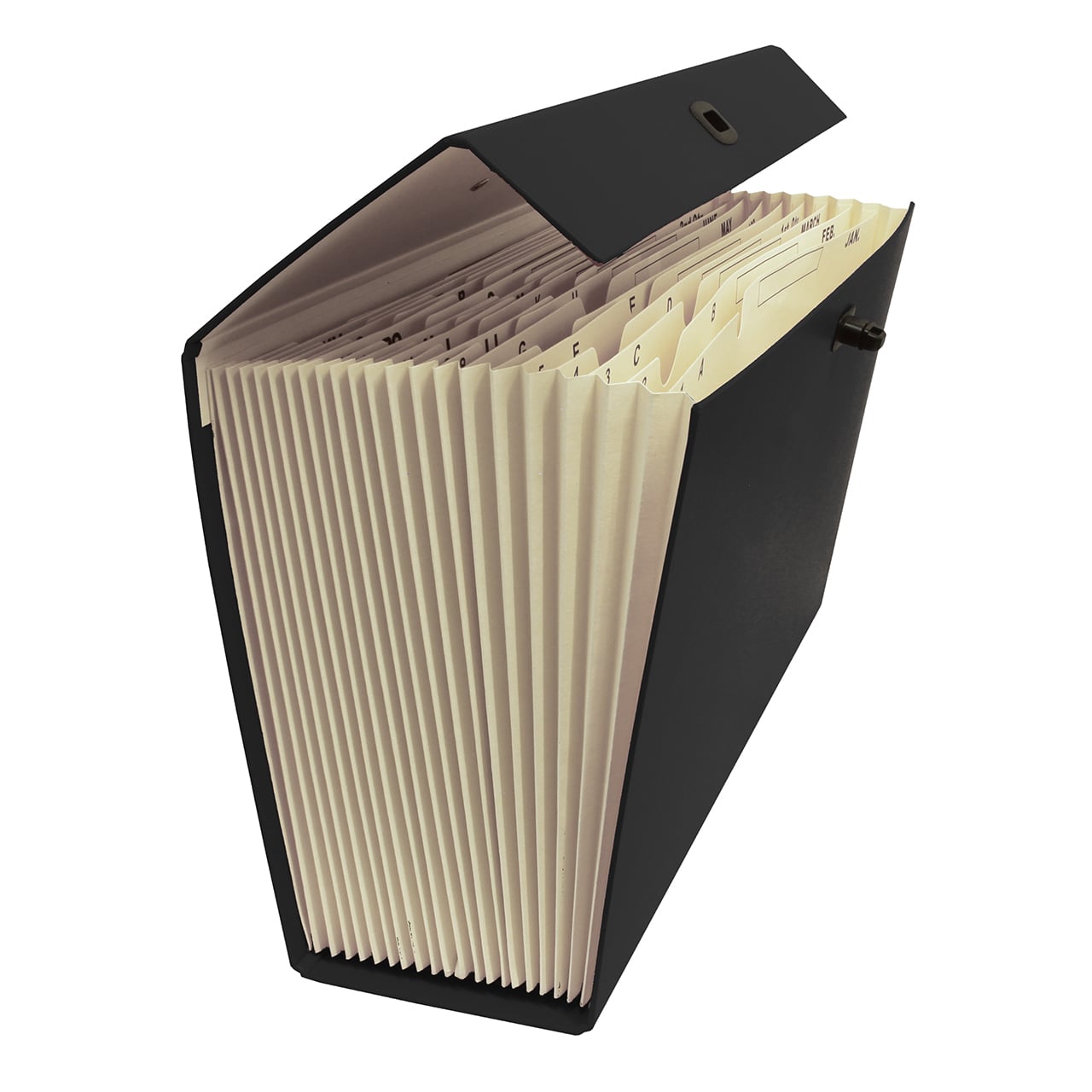 Expanding File Case