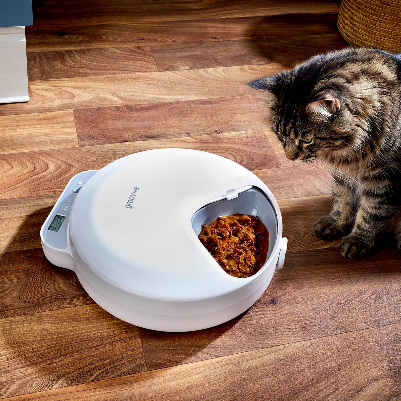 Automatic Wet Food Pet Feeder