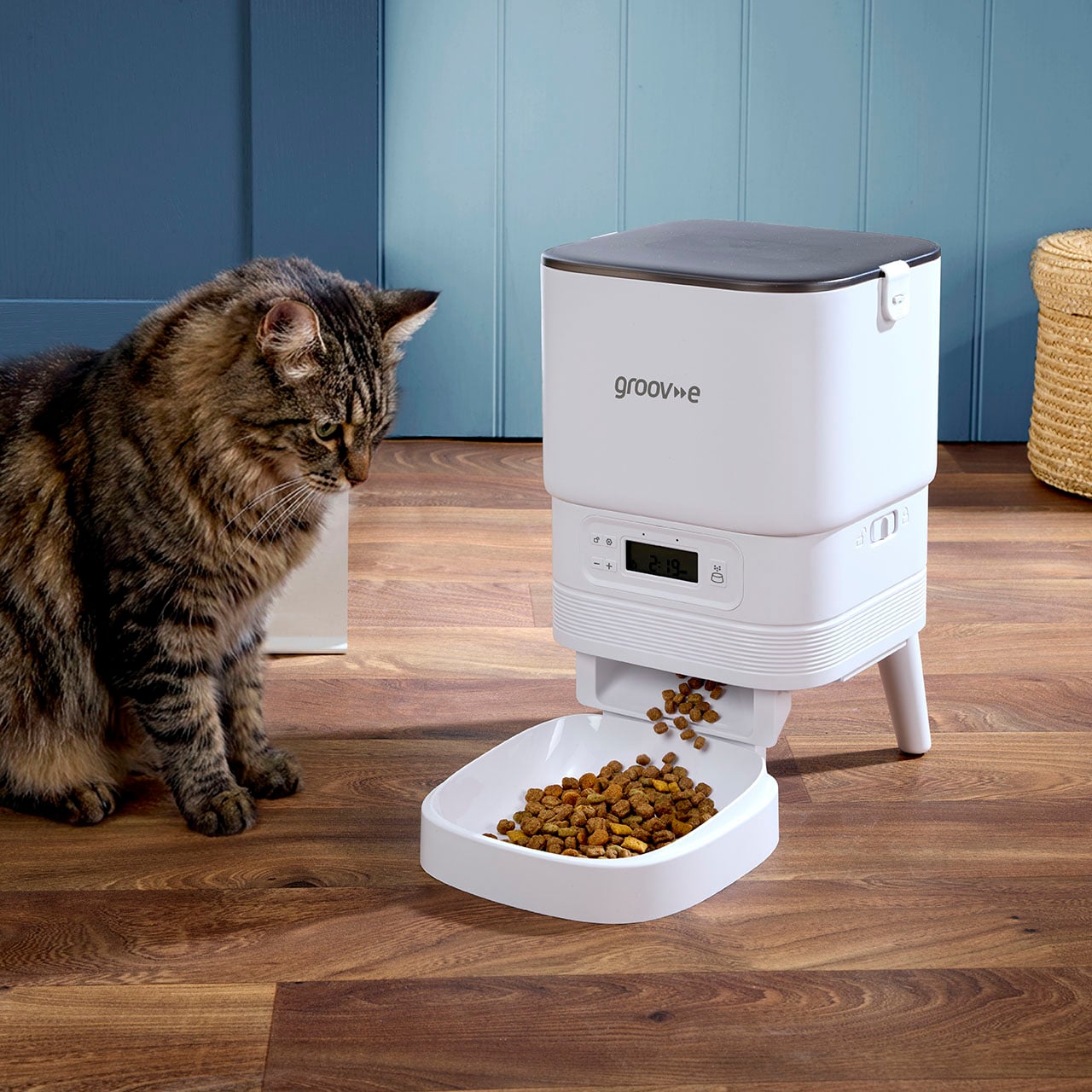 Automatic Pet Feeder
