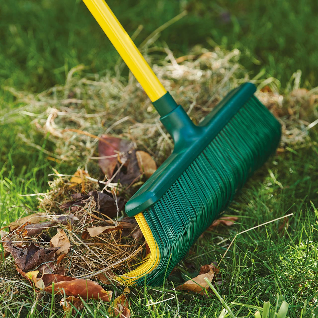 Rake Brush