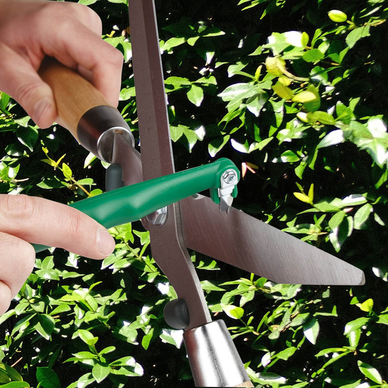Tool Sharpener