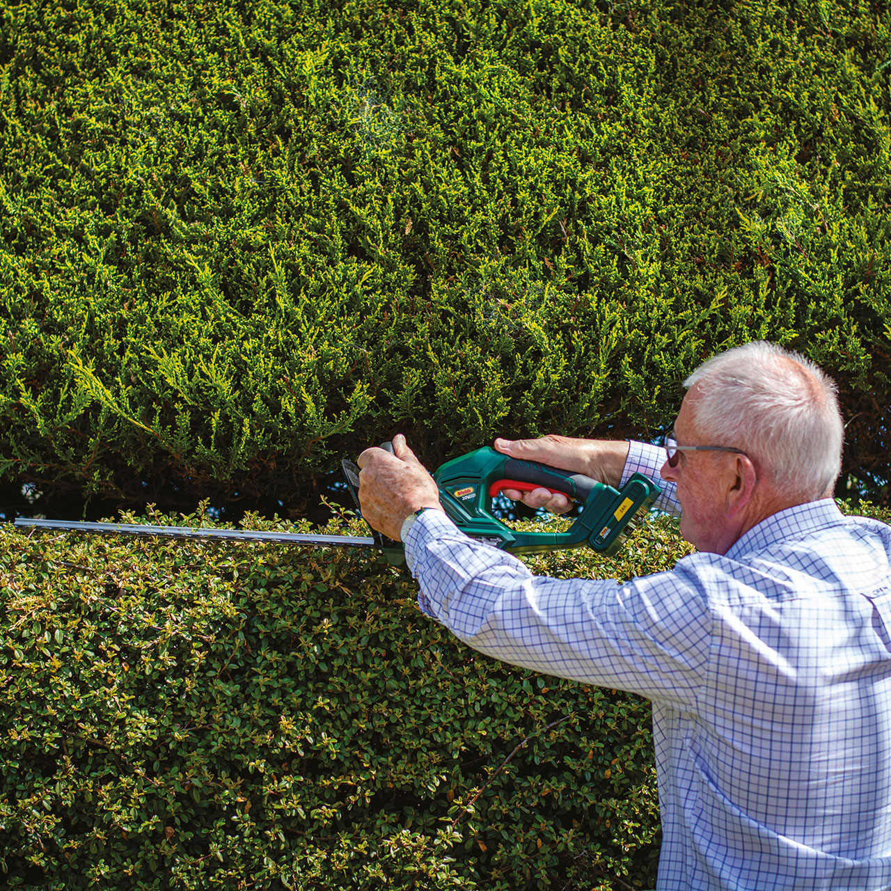 Webb Cordless Hedge Trimmer