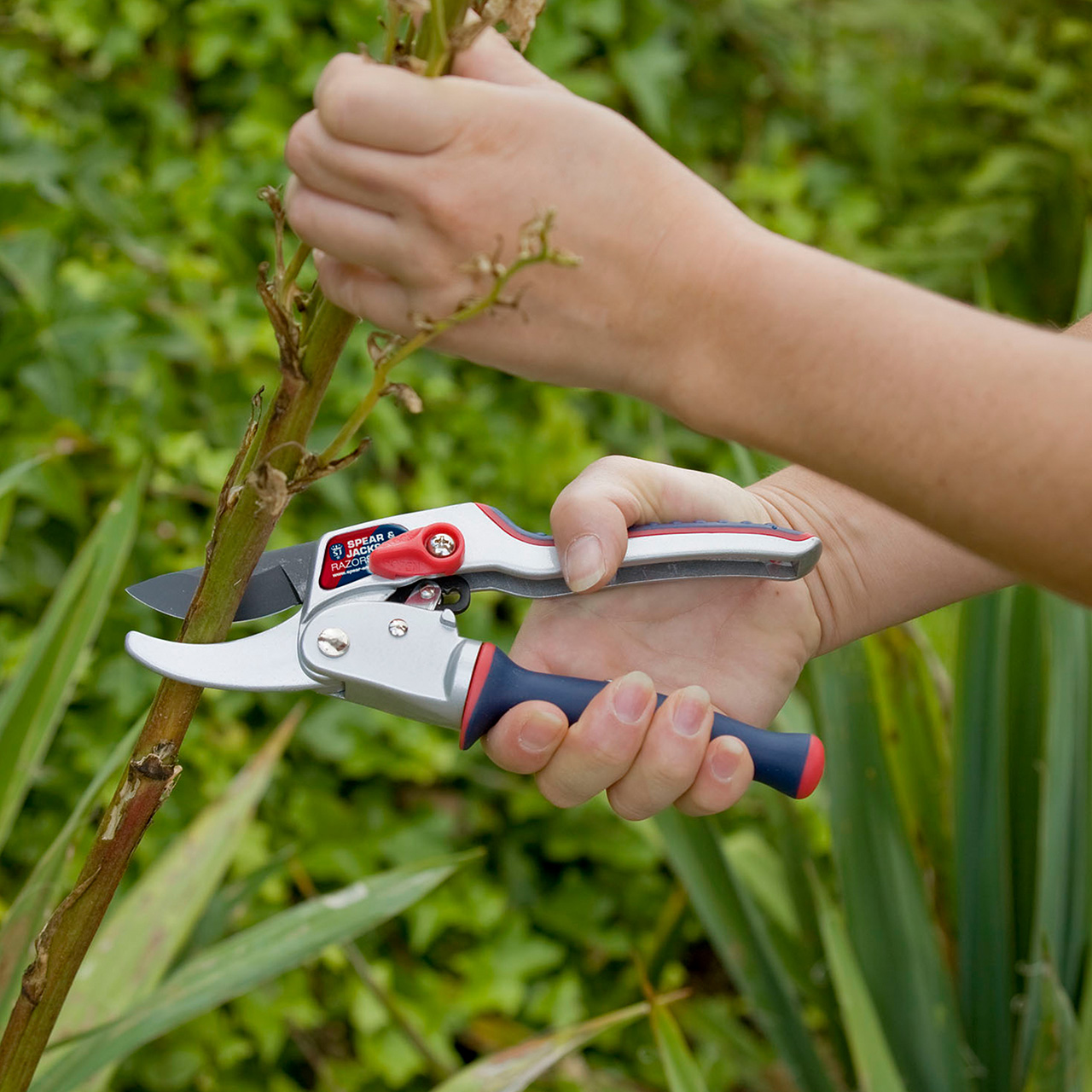 Spear & Jackson Ratchet Secateurs