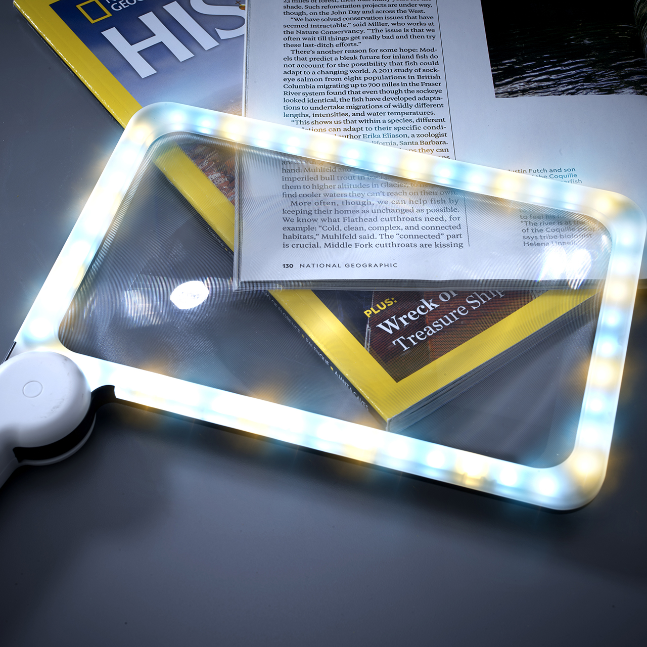 Handheld Magnifier with 48 LEDs