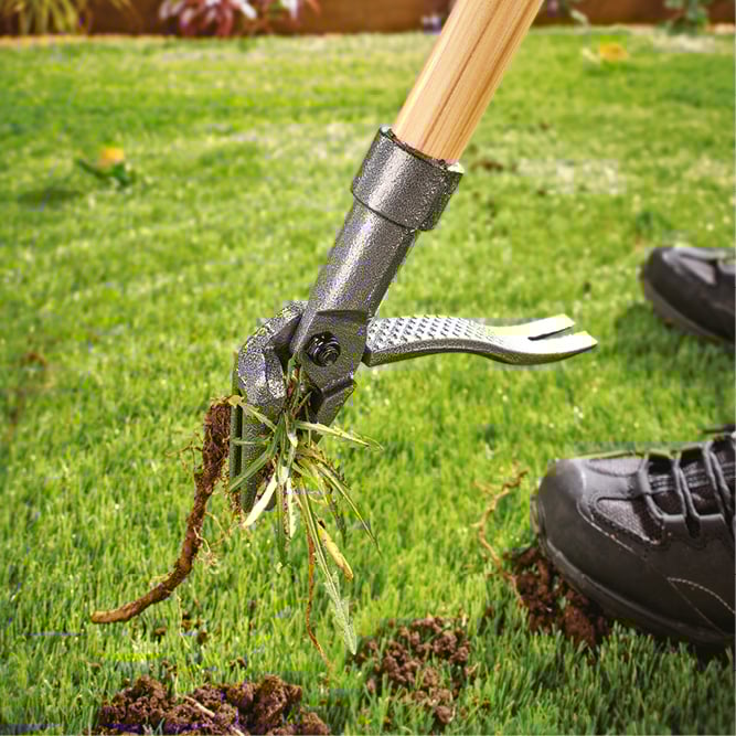 Image of weeder on grass