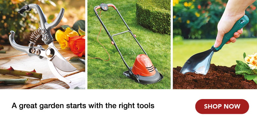 A great garden starts with the right tools